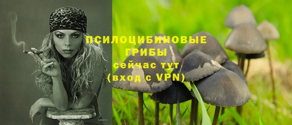 мет Вяземский