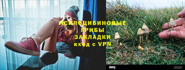 мет Вяземский