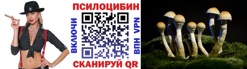 Псилоцибиновые грибы Magic Shrooms наркота Домодедово